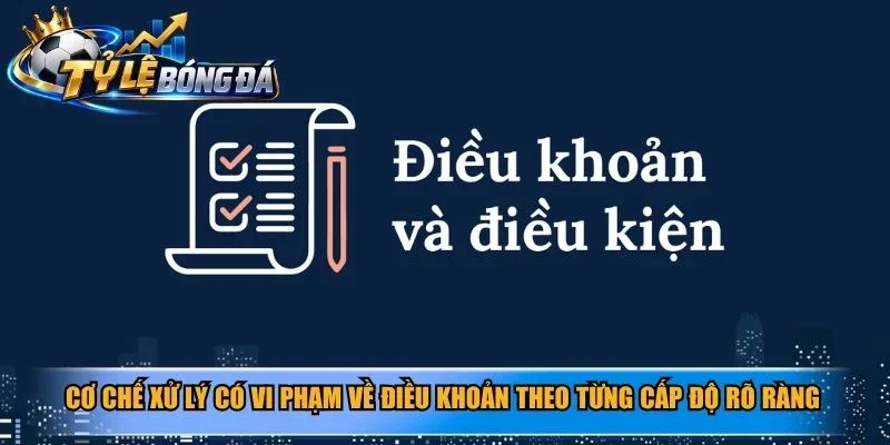 Cơ chế xử lý có vi phạm về điều khoản theo từng cấp độ rõ ràng