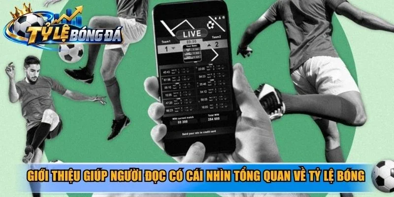 Giới thiệu giúp người đọc có cái nhìn tổng quan về tỷ lệ bóng