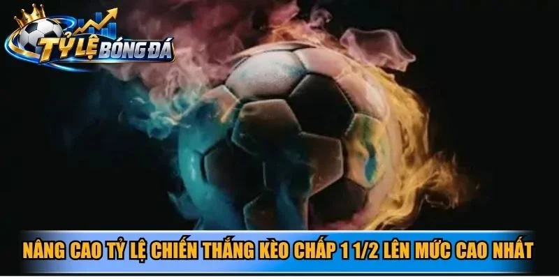 Nâng cao tỷ lệ chiến thắng kèo chấp 1 1/2 lên mức cao nhất