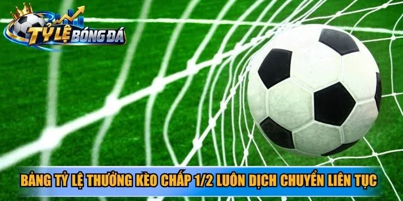 Bảng tỷ lệ thưởng kèo chấp 1/2 luôn dịch chuyển liên tục theo dòng tiền đầu tư