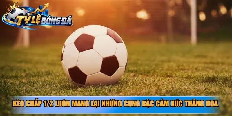 Kèo chấp 1/2 luôn mang lại những cung bậc cảm xúc thăng hoa