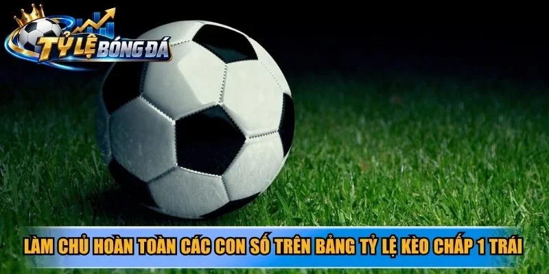 Làm chủ hoàn toàn các con số trên bảng tỷ lệ kèo chấp 1 trái