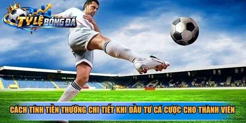 Cách tính tiền thưởng chi tiết khi đầu tư cá cược cho thành viên