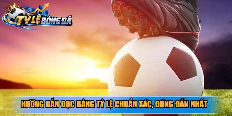 Hướng dẫn đọc bảng tỷ lệ chuẩn xác, đúng đắn nhất dành cho tân thủ