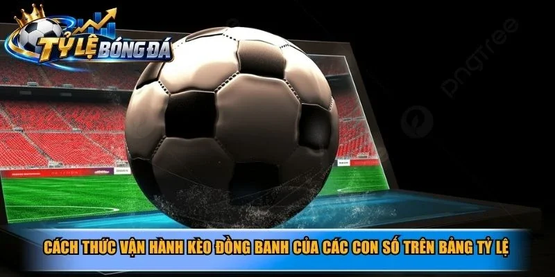 Cách thức vận hành kèo đồng banh của các con số trên bảng tỷ lệ