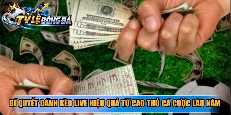 Bí quyết đánh kèo live hiệu quả từ cao thủ cá cược lâu năm