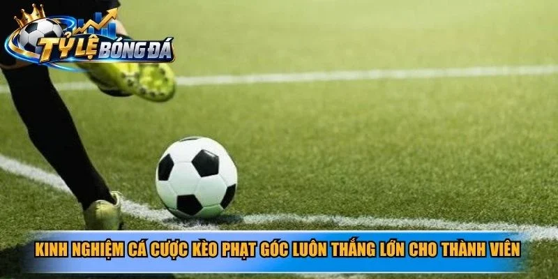 Kinh nghiệm cá cược kèo phạt góc luôn thắng lớn cho thành viên