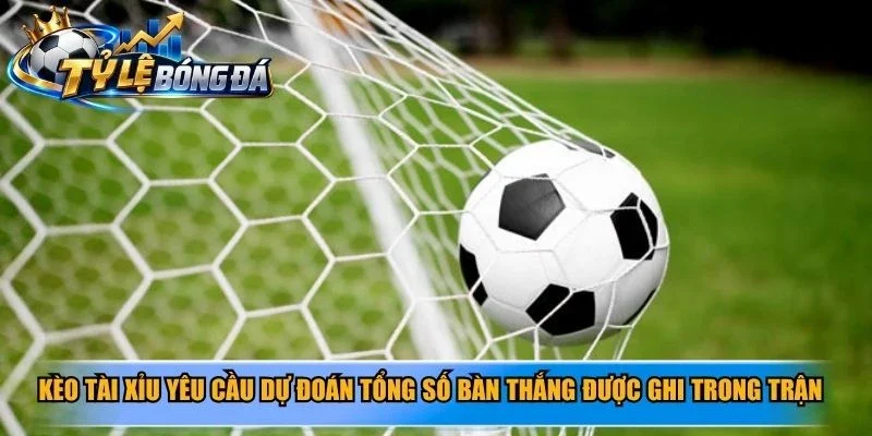 Kèo tài xỉu yêu cầu dự đoán tổng số bàn thắng được ghi trong trận đấu