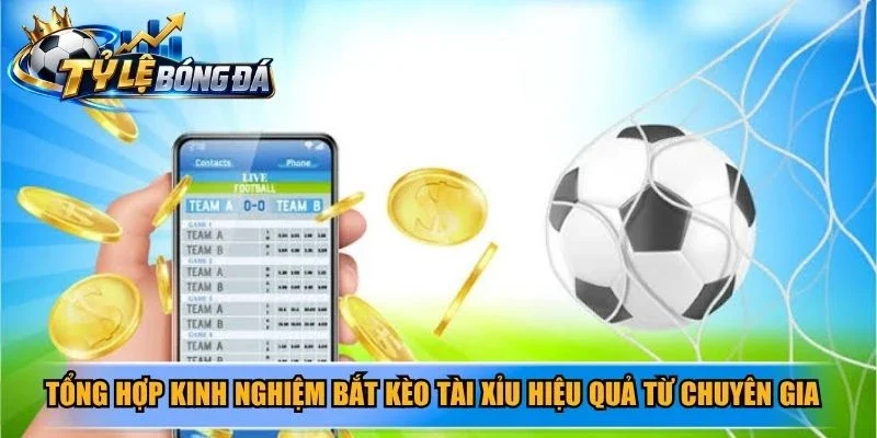 Tổng hợp kinh nghiệm bắt kèo tài xỉu hiệu quả từ chuyên gia hàng đầu