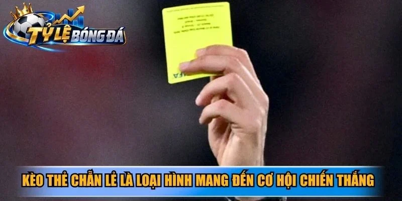 Kèo thẻ chẵn lẻ là loại hình mang đến cơ hội chiến thắng cho người chơi