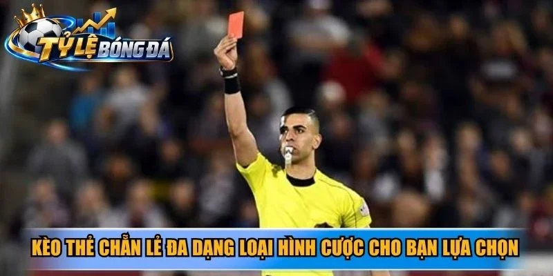 Kèo thẻ chẵn lẻ đa dạng loại hình cược cho bạn lựa chọn