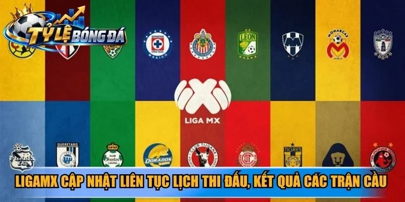 LigaMX cập nhật liên tục lịch thi đấu, kết quả các trận cầu đỉnh cao
