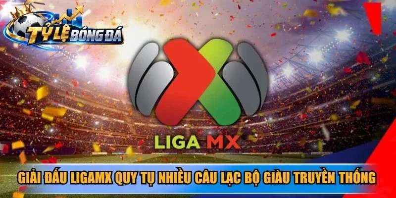 Giải đấu LigaMX quy tụ nhiều câu lạc bộ giàu truyền thống