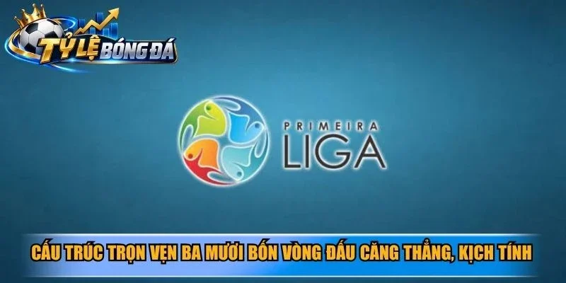Cấu trúc trọn vẹn ba mươi bốn vòng đấu căng thẳng, kịch tính