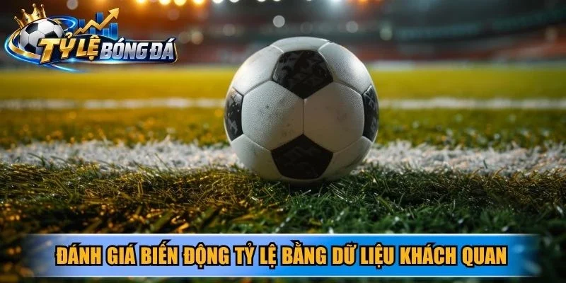 Đánh giá biến động tỷ lệ bằng dữ liệu khách quan