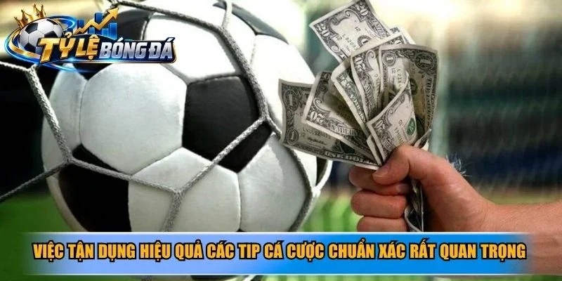 Việc tận dụng hiệu quả các tip cá cược chuẩn xác rất quan trọng
