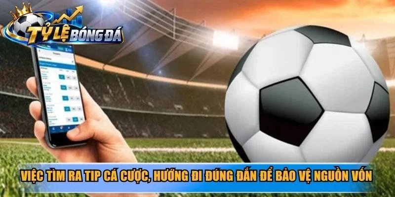 Việc tìm ra tip cá cược, hướng đi đúng đắn để bảo vệ nguồn vốn