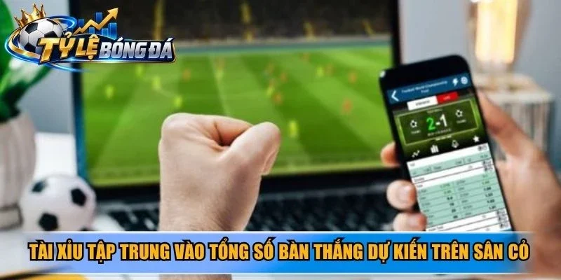 Tài Xỉu tập trung vào tổng số bàn thắng dự kiến trên sân cỏ