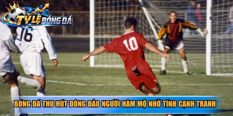 Bóng đá thu hút đông đảo người hâm mộ nhờ tính cạnh tranh cao
