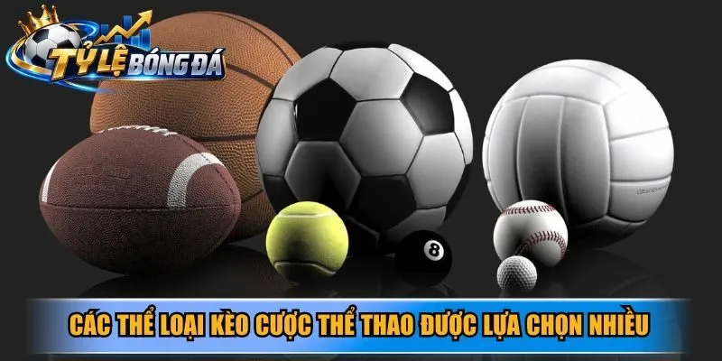 Các thể loại kèo cược thể thao được lựa chọn nhiều