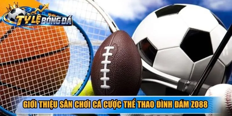 Giới thiệu sân chơi cá cược thể thao đình đám Zo88